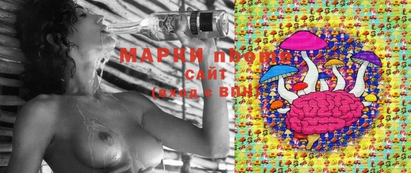 метадон Алексин