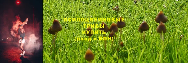 метадон Алексин