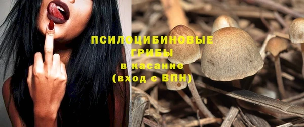 винт Алзамай