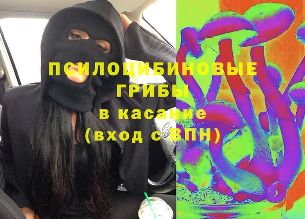 метадон Алексин