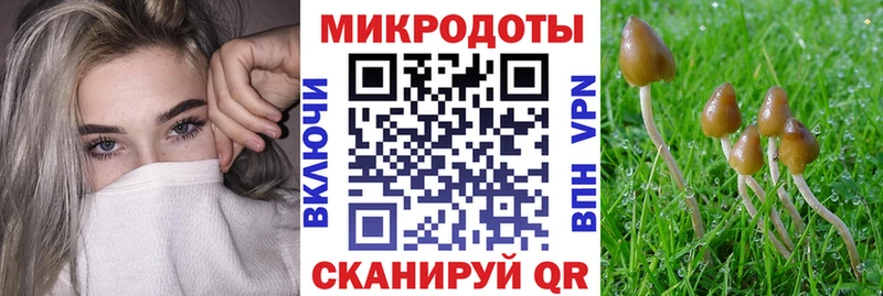 ссылка на мегу ТОР  Москва  Галлюциногенные грибы мицелий 